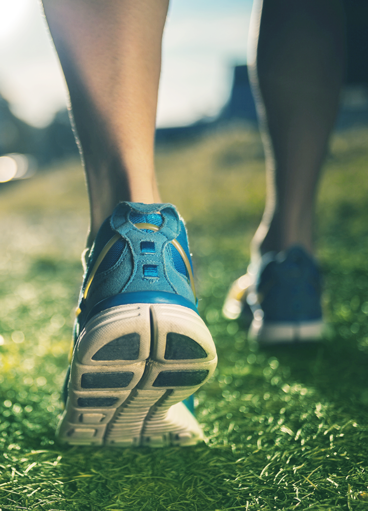 제 13회 영주소백산 마라톤대회 이미지